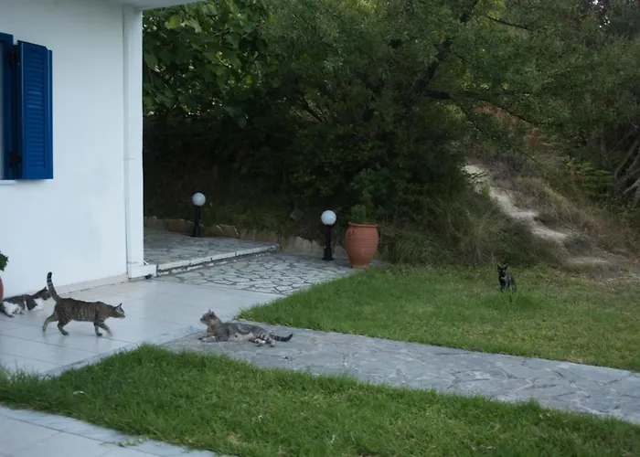 Nymphs & Appartement *