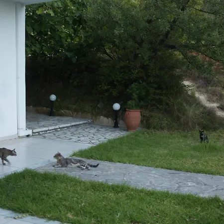 Nymphs & Appartamento *