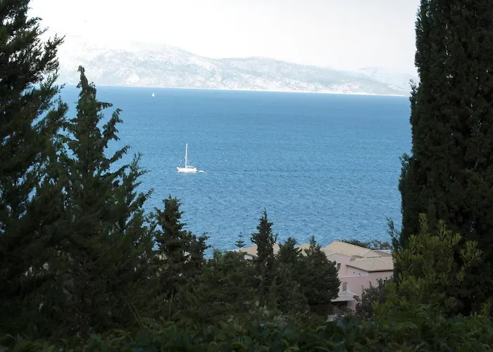 Apartment Nymphs & *